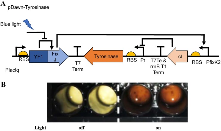 FIG 2