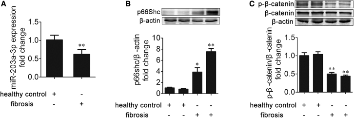 Figure 10