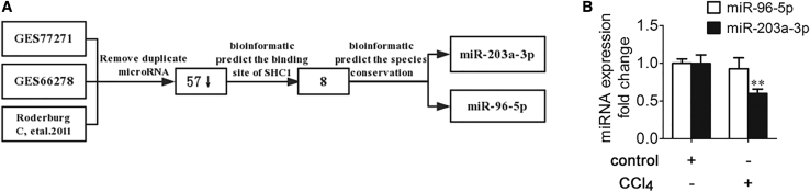 Figure 5