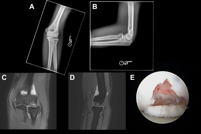 Figure 3.