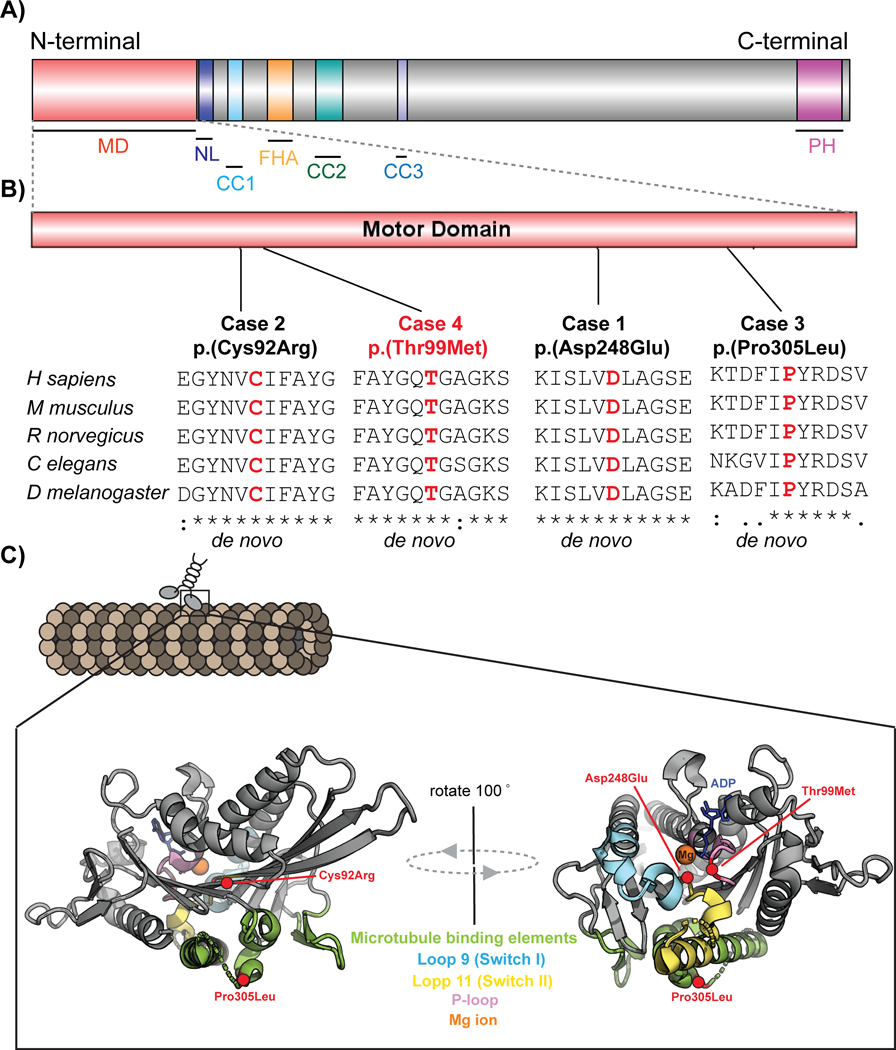 Figure 1: