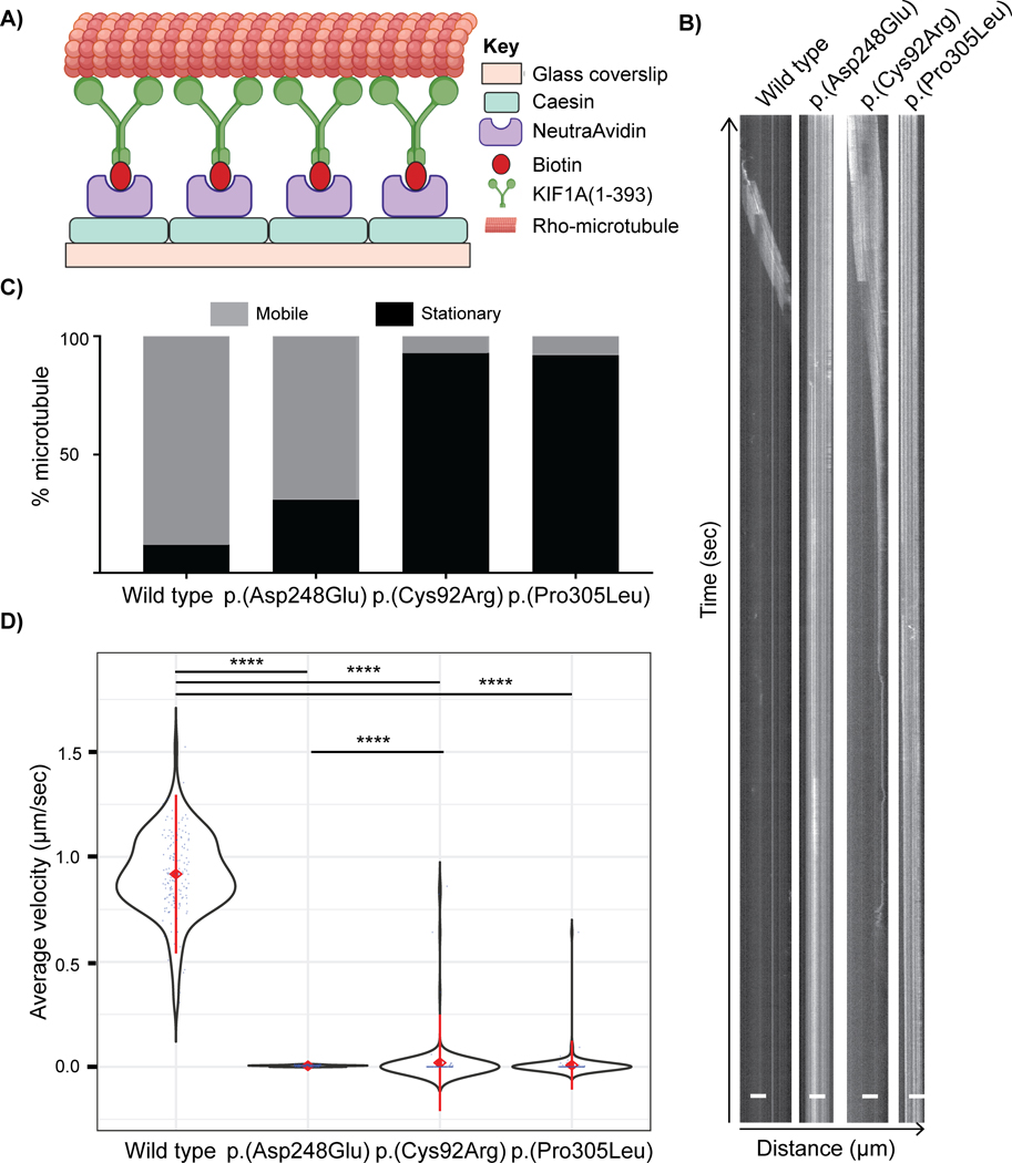 Figure 3: