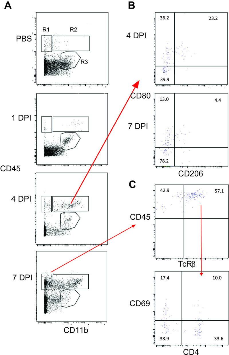 Fig 7