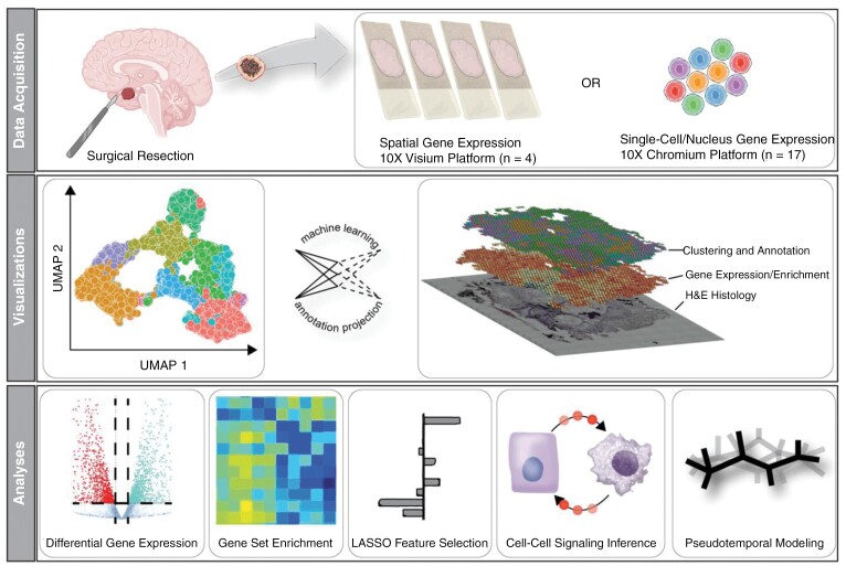 Graphical Abstract