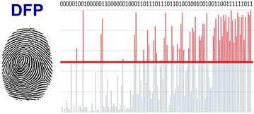 Graphical Abstract