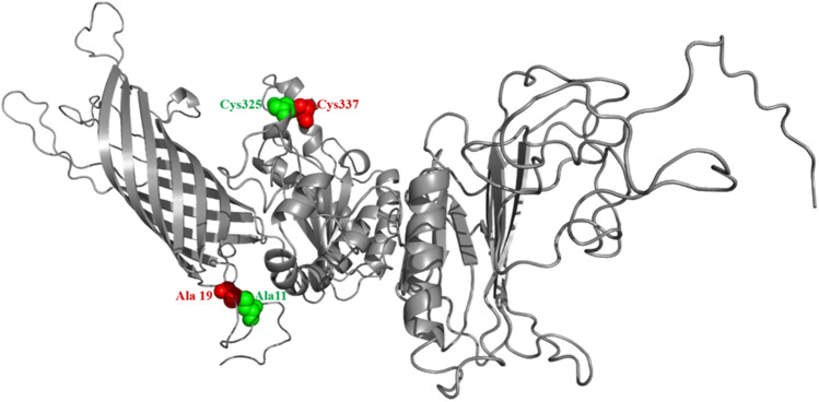 Fig. 7