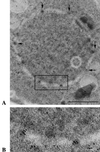 FIG. 6