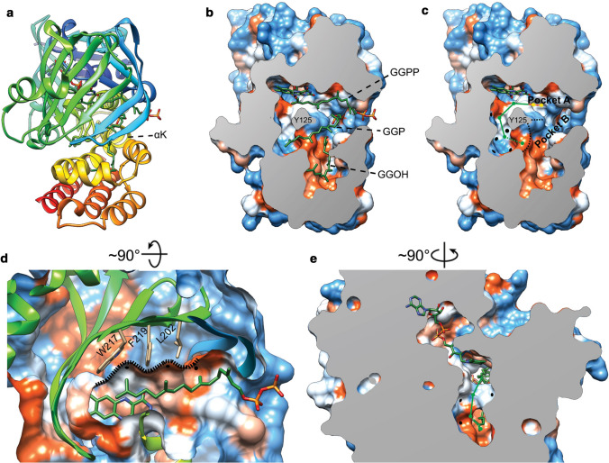 Fig. 13