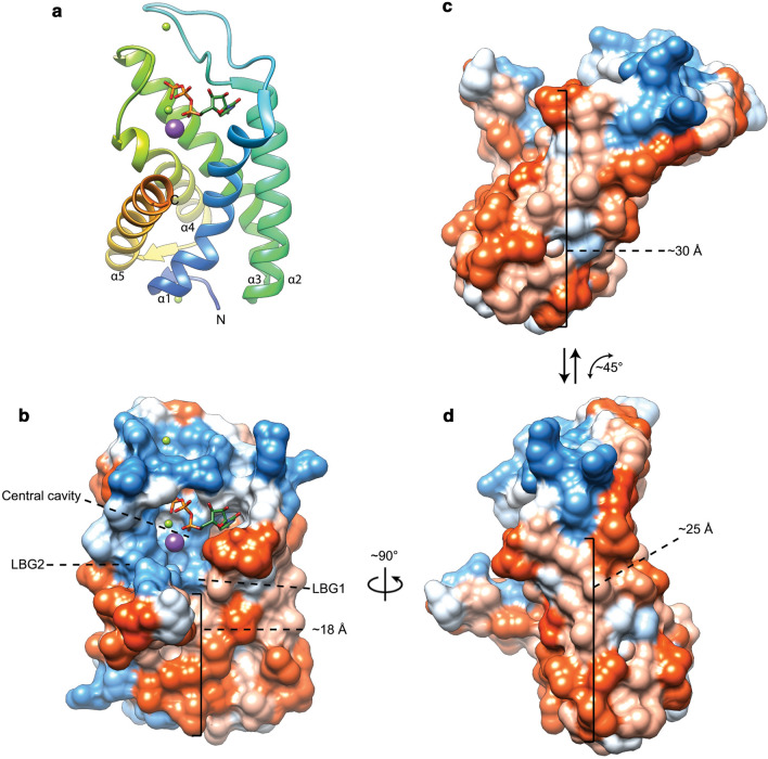 Fig. 7