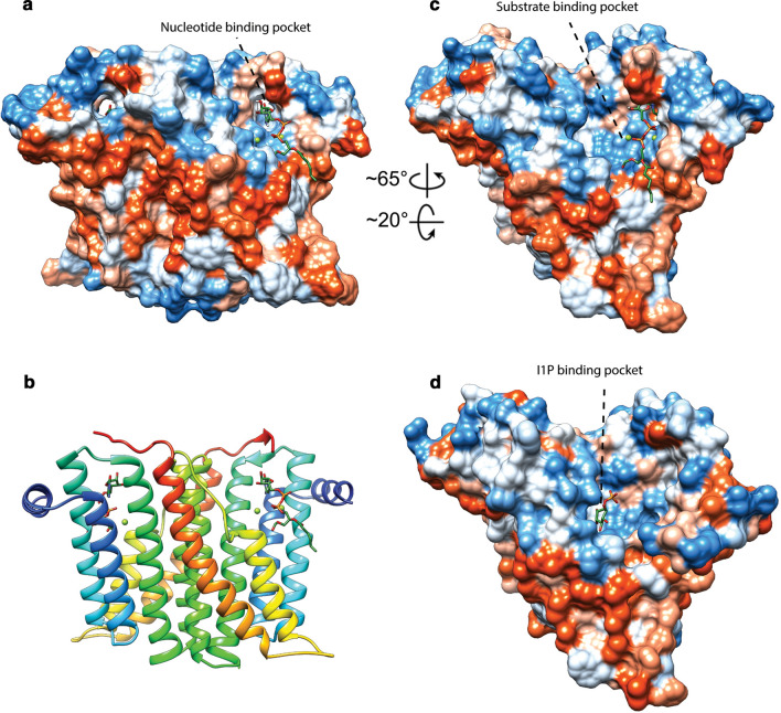 Fig. 10