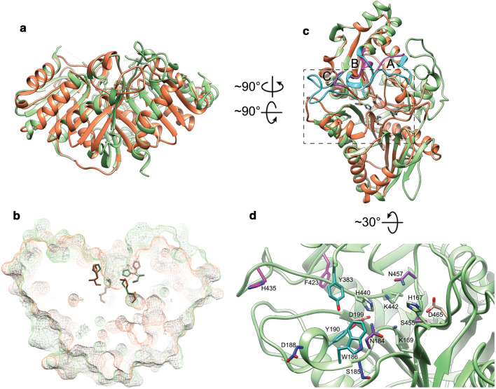 Fig. 12