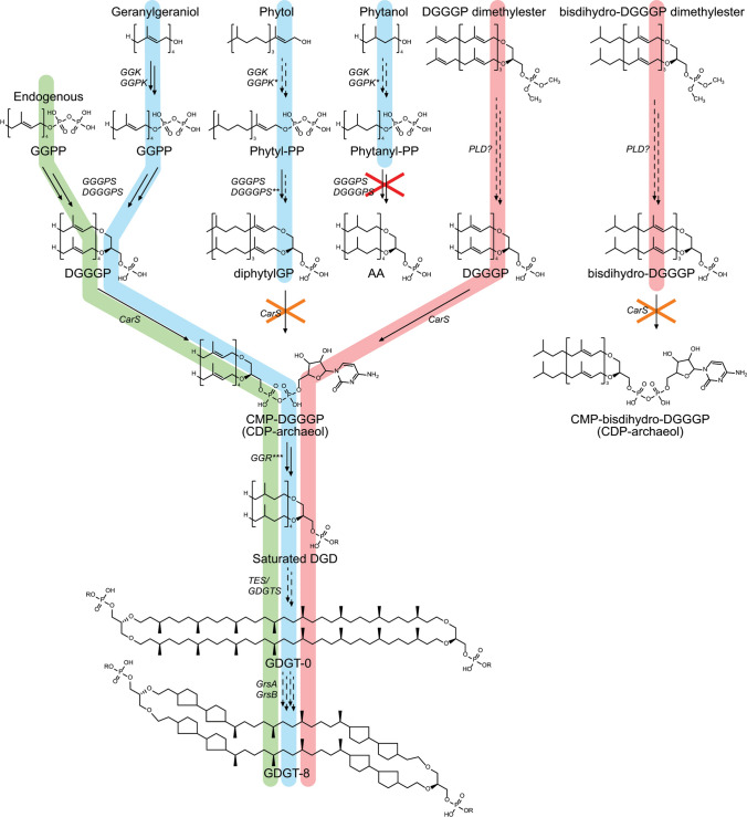Fig. 14