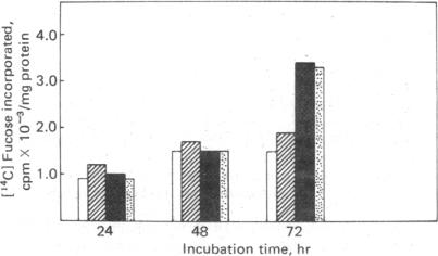 graphic file with name pnas00013-0296-b.jpg