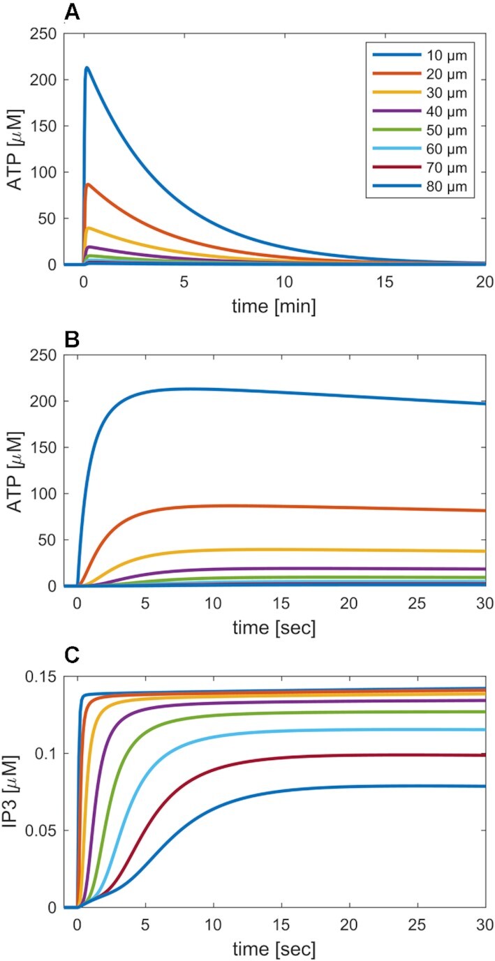 Figure 6.