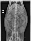 Figure 8