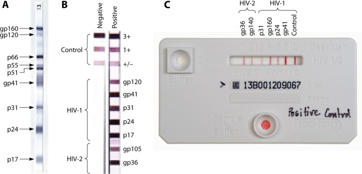 FIG 3