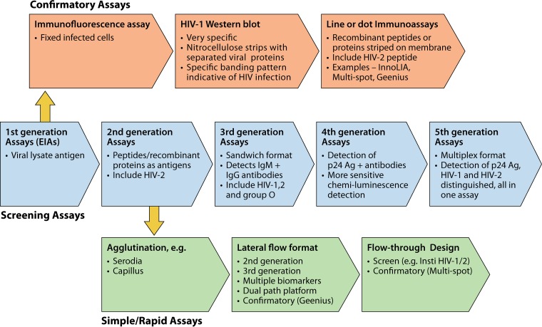 FIG 2