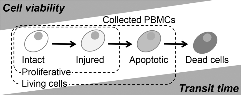 Fig. 4