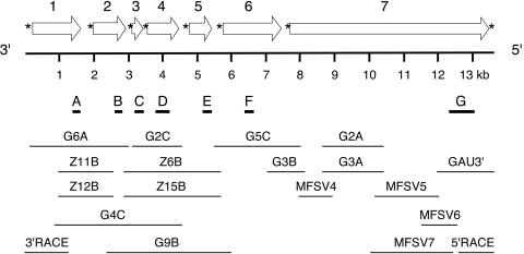 FIG. 1.