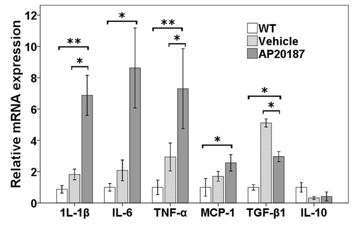 Fig. 7.