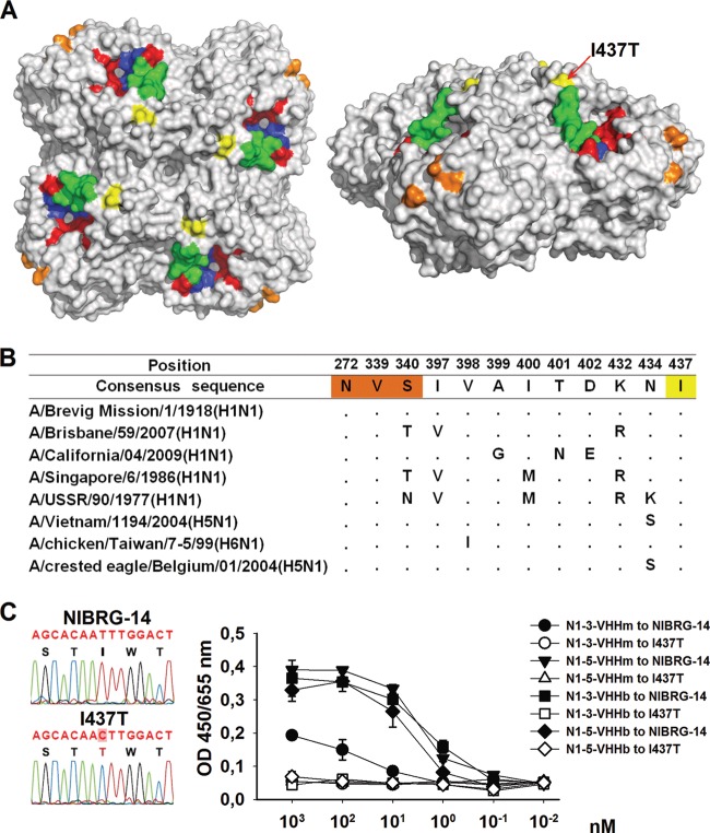 FIG 8