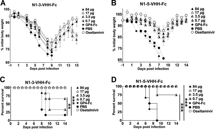 FIG 6