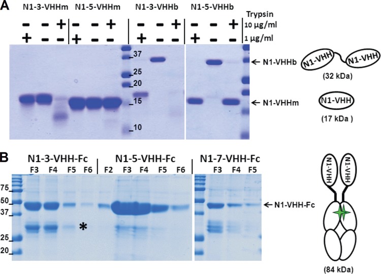 FIG 2