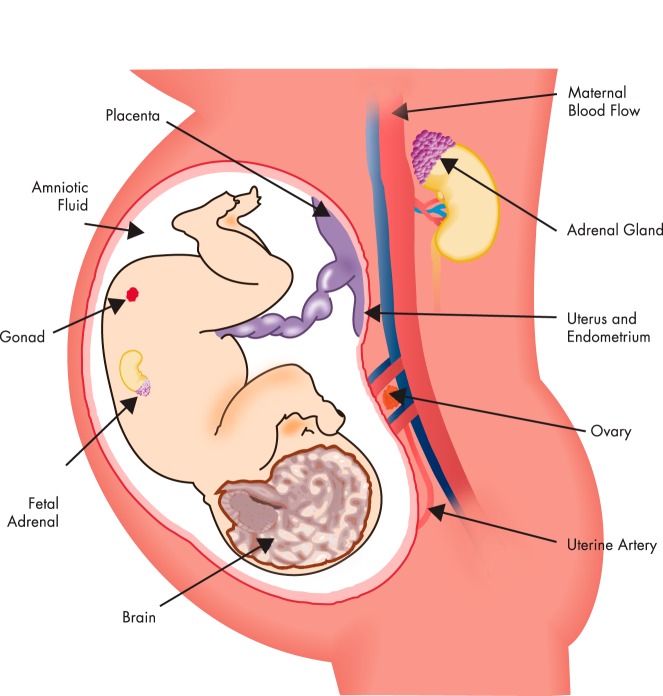 Figure 1.