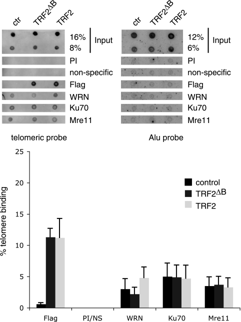 FIG. 9.