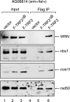 FIG. 8.