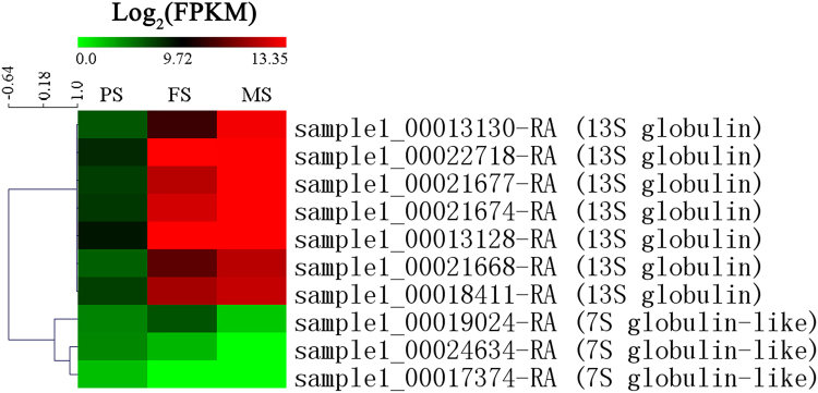 Figure 7