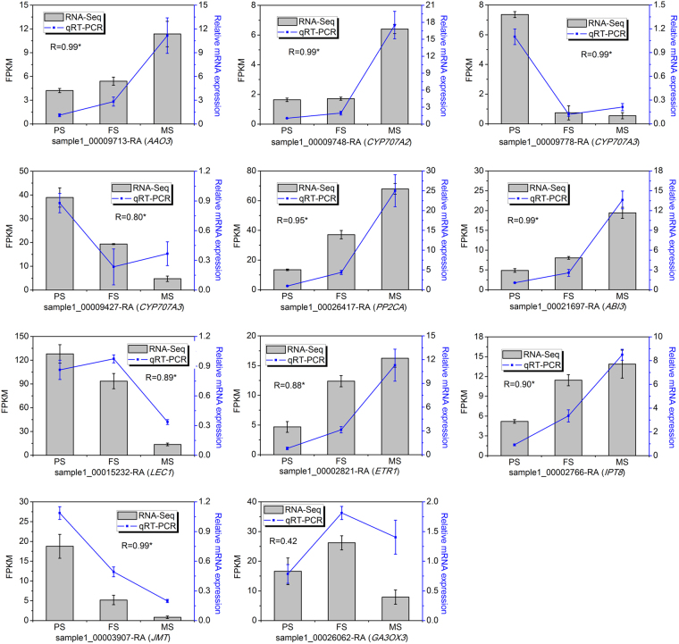 Figure 6