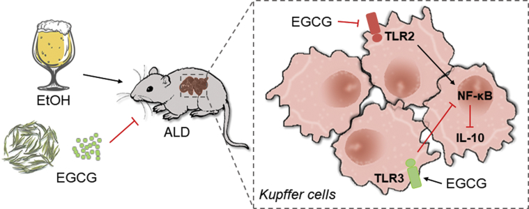 Figure 10