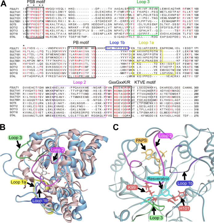 FIG 4