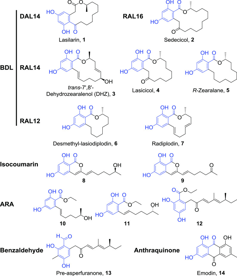 FIG 2