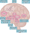 Figure 2 |