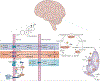 Figure 4 |