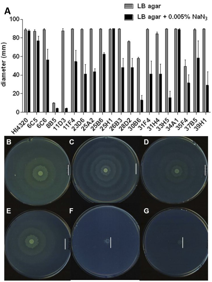 FIG 6 