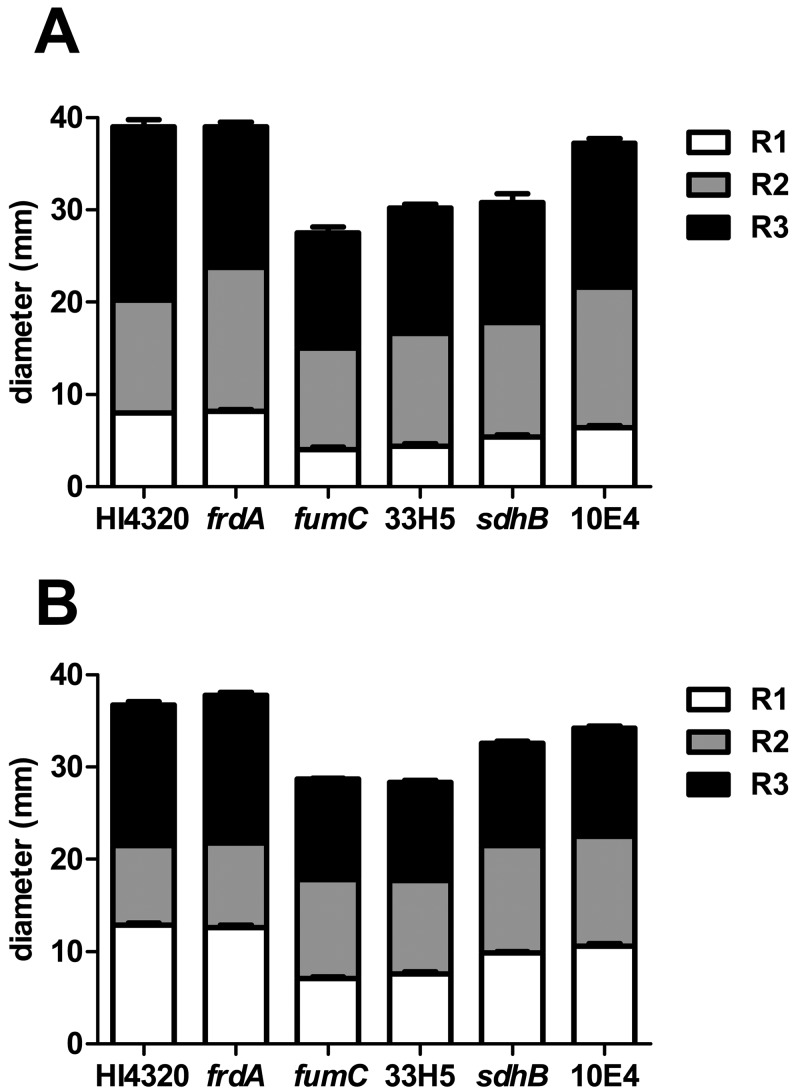 FIG 3 