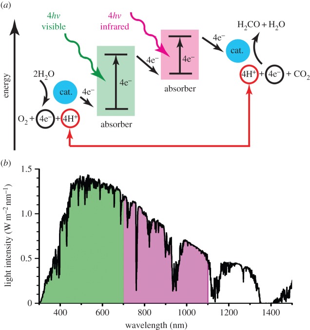 Figure 2.