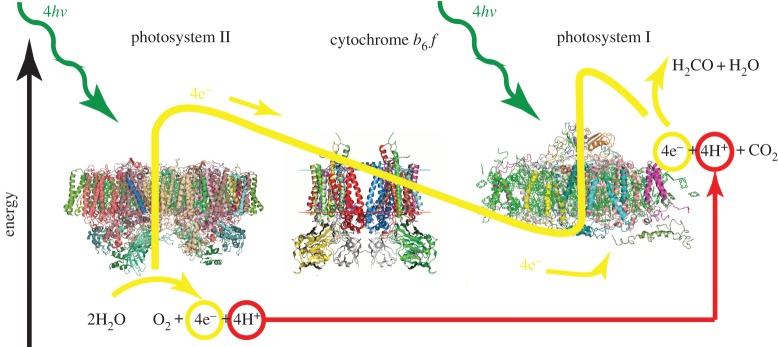 Figure 1.