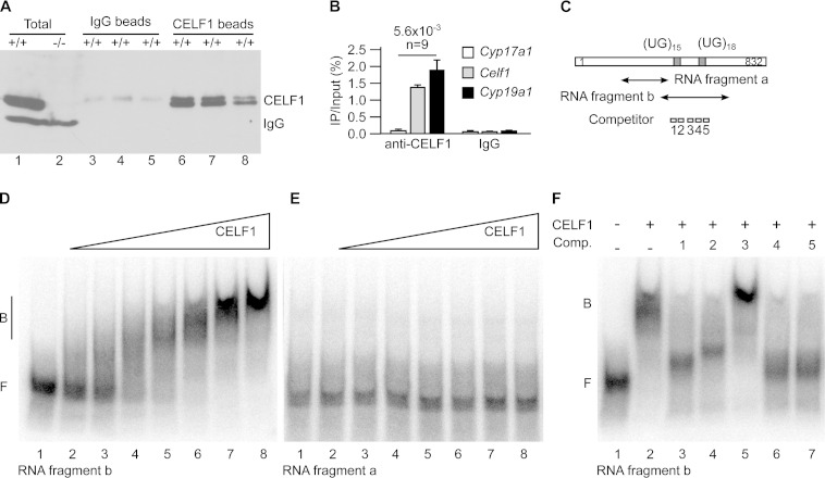 FIG 4