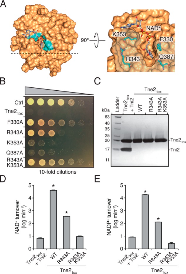 Figure 4.