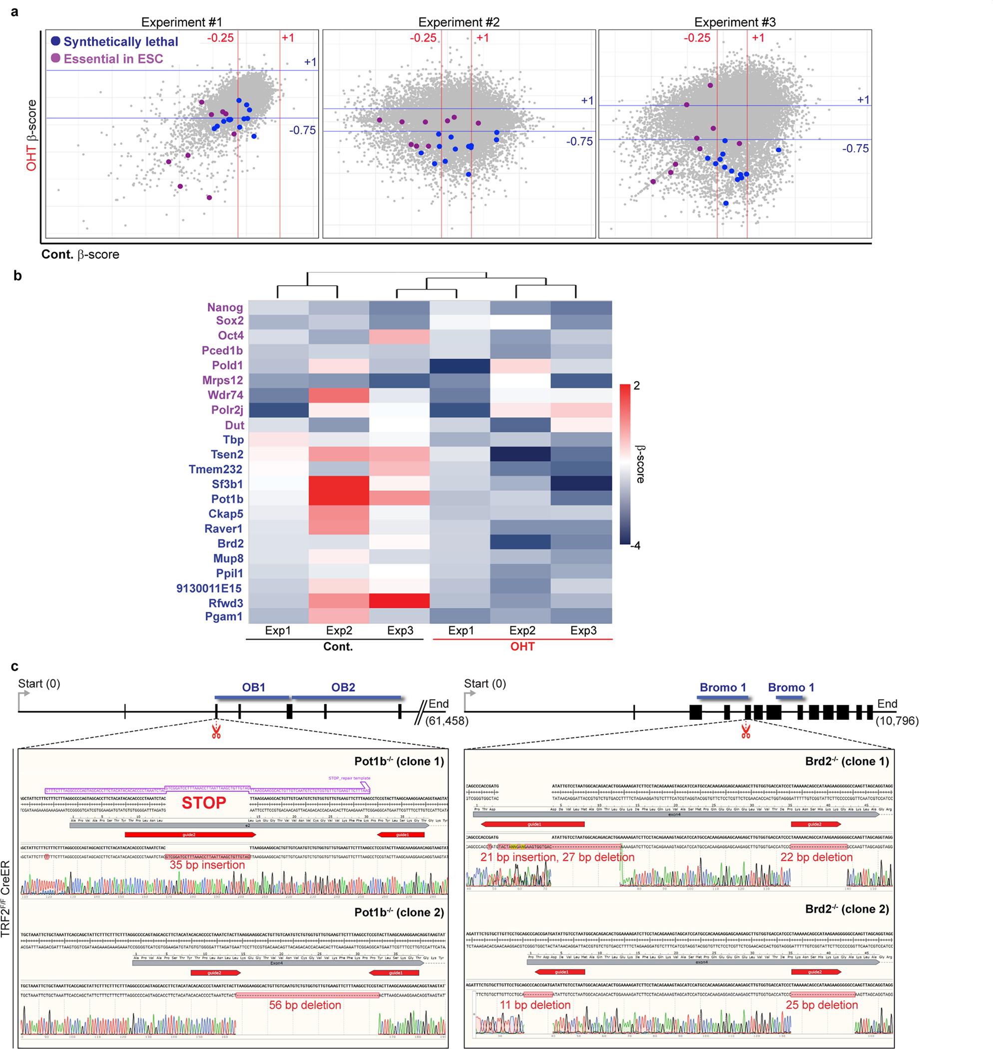 Extended Data Fig. 3 |