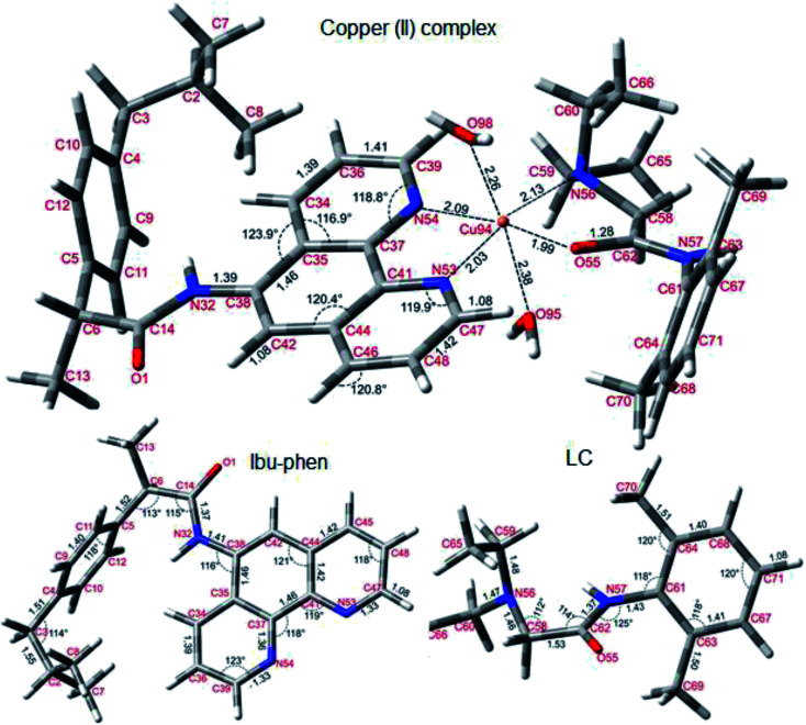 Fig. 10