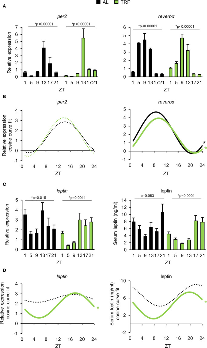 Figure 3