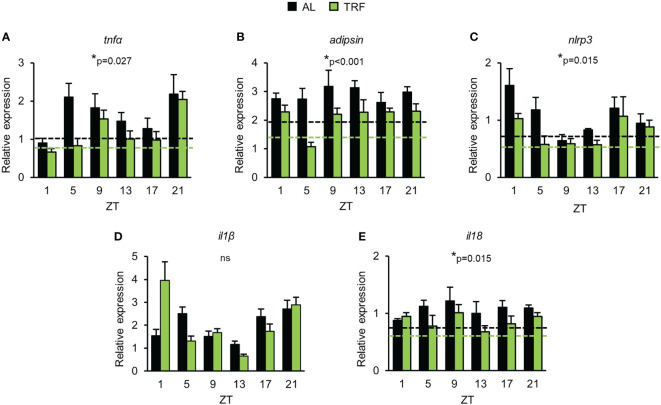 Figure 4