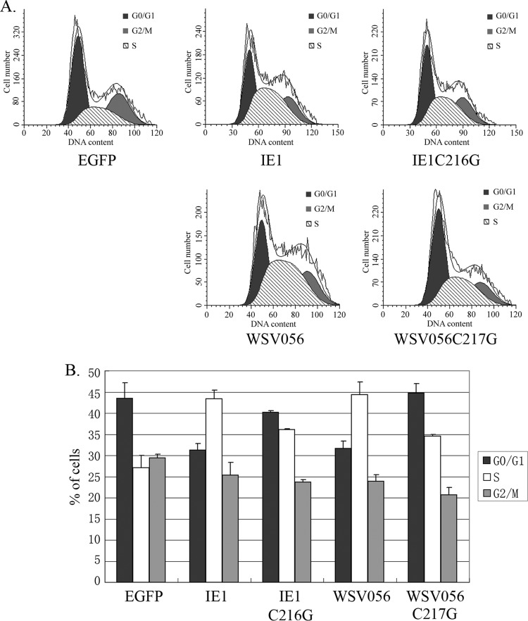 Fig 5