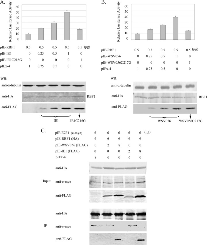 Fig 4