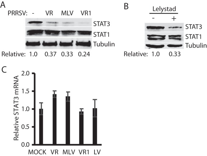 FIG 2